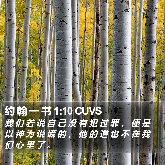 约 翰 一 书 1:10 CUVS Bible Study