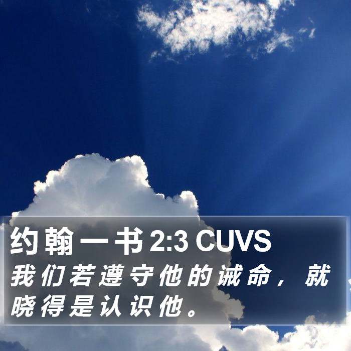 约 翰 一 书 2:3 CUVS Bible Study