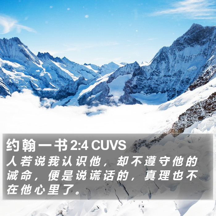 约 翰 一 书 2:4 CUVS Bible Study