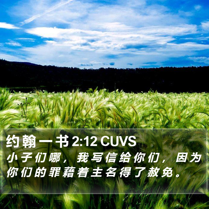 约 翰 一 书 2:12 CUVS Bible Study