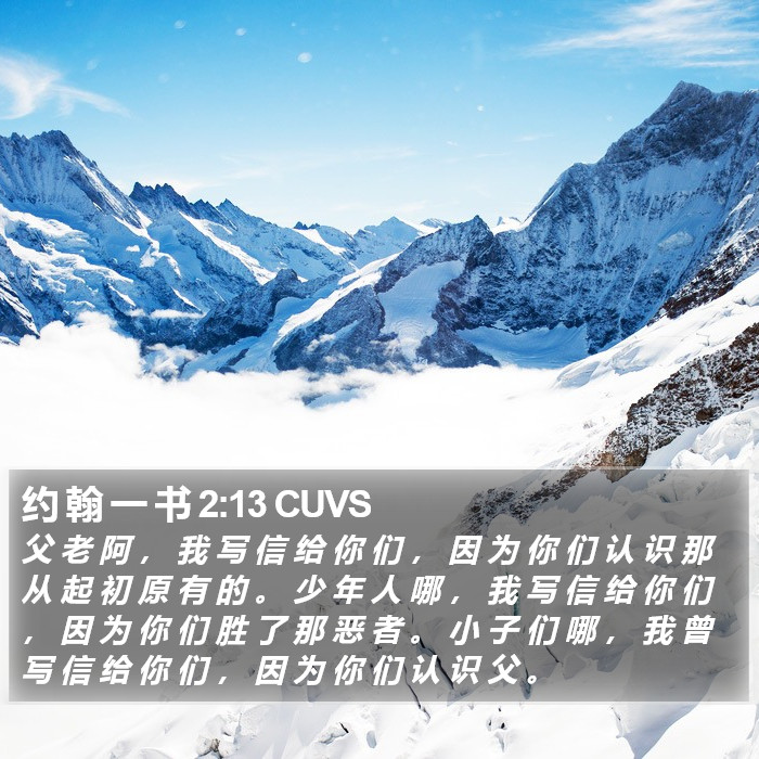 约 翰 一 书 2:13 CUVS Bible Study