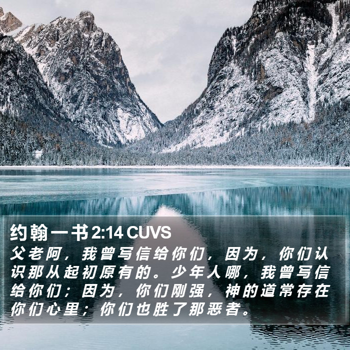 约 翰 一 书 2:14 CUVS Bible Study