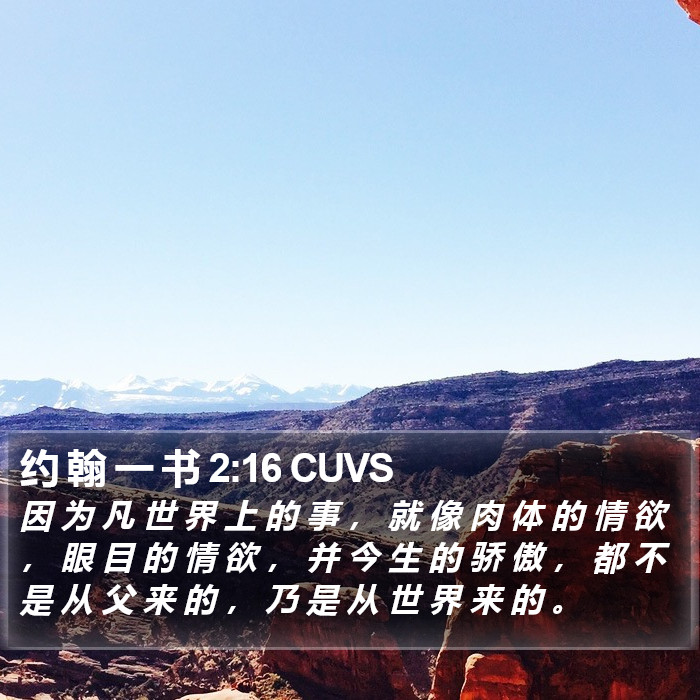 约 翰 一 书 2:16 CUVS Bible Study