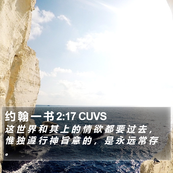 约 翰 一 书 2:17 CUVS Bible Study