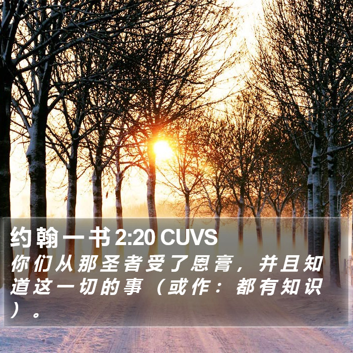 约 翰 一 书 2:20 CUVS Bible Study