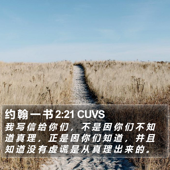 约 翰 一 书 2:21 CUVS Bible Study