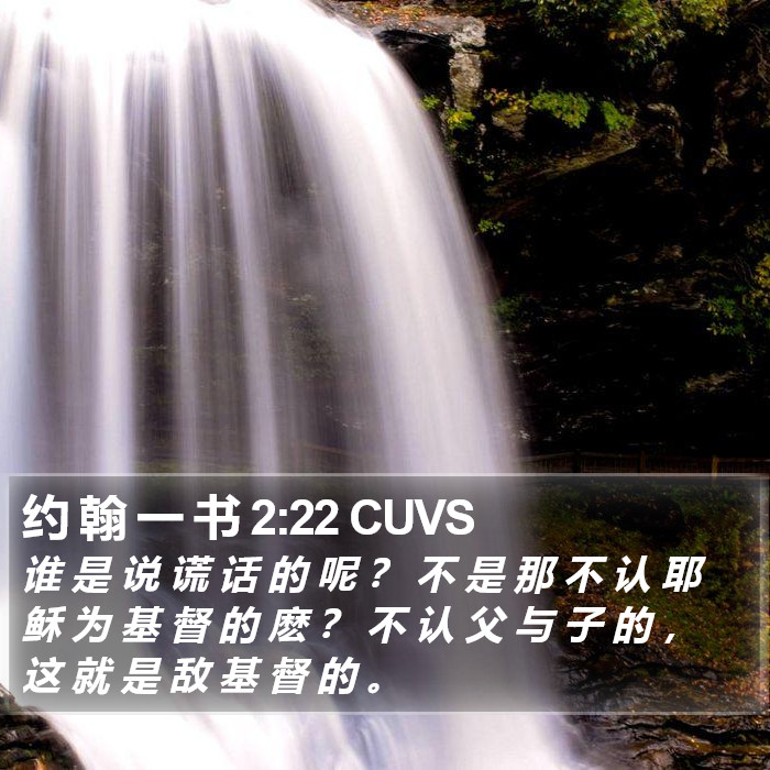 约 翰 一 书 2:22 CUVS Bible Study