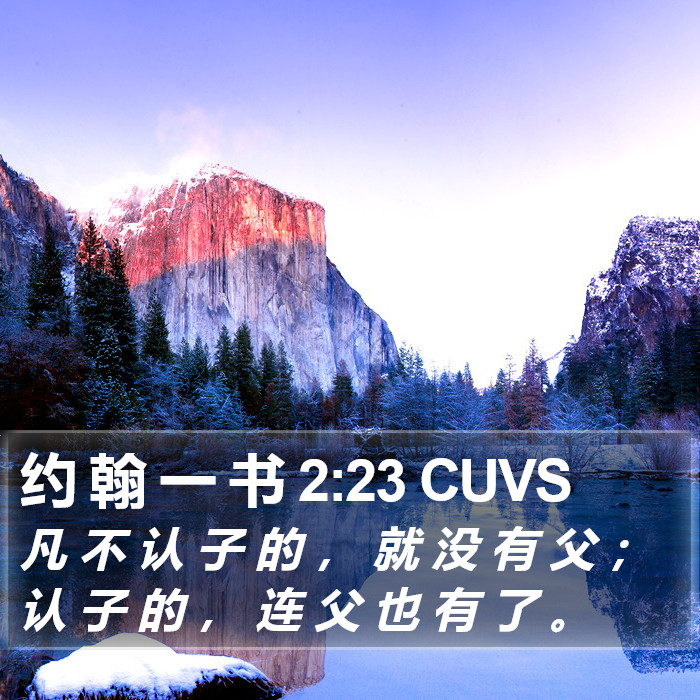 约 翰 一 书 2:23 CUVS Bible Study