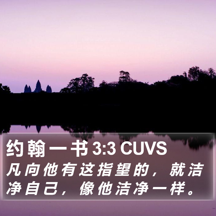 约 翰 一 书 3:3 CUVS Bible Study