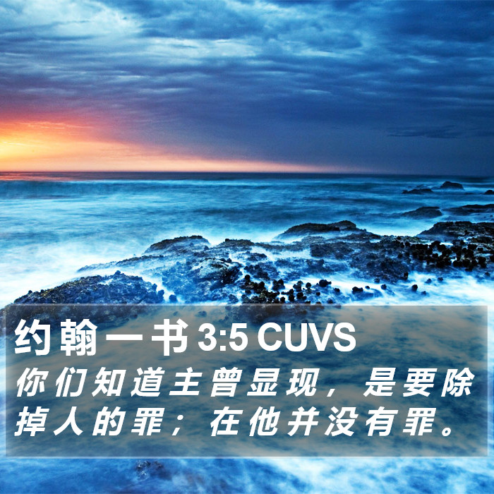 约 翰 一 书 3:5 CUVS Bible Study