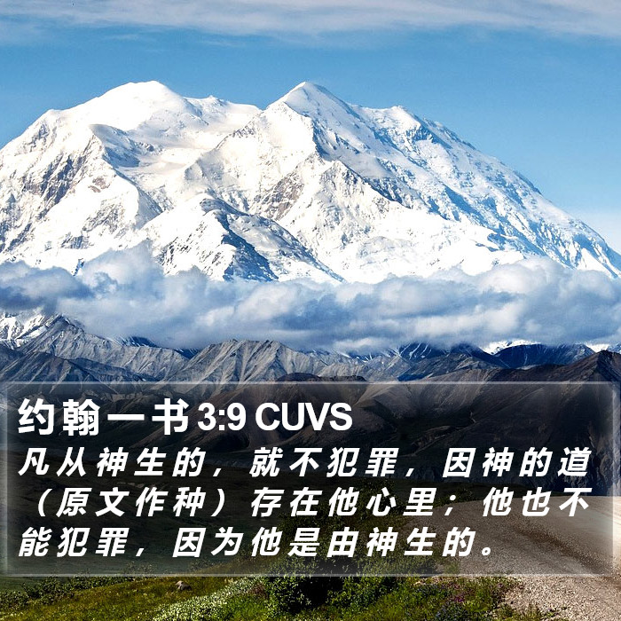 约 翰 一 书 3:9 CUVS Bible Study