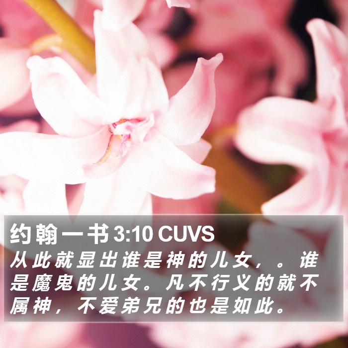 约 翰 一 书 3:10 CUVS Bible Study
