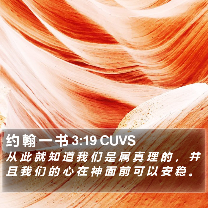 约 翰 一 书 3:19 CUVS Bible Study