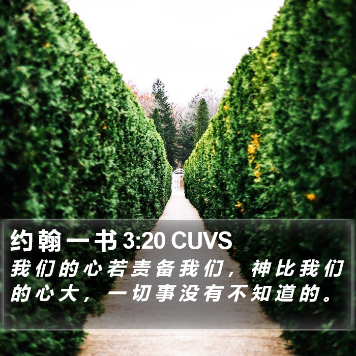 约 翰 一 书 3:20 CUVS Bible Study