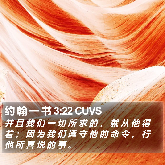 约 翰 一 书 3:22 CUVS Bible Study