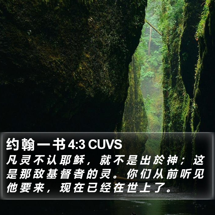 约 翰 一 书 4:3 CUVS Bible Study