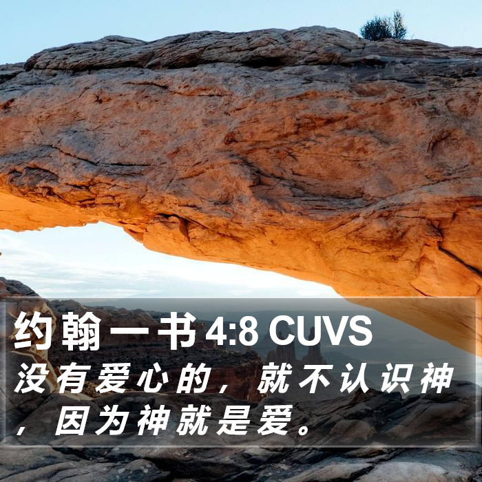 约 翰 一 书 4:8 CUVS Bible Study