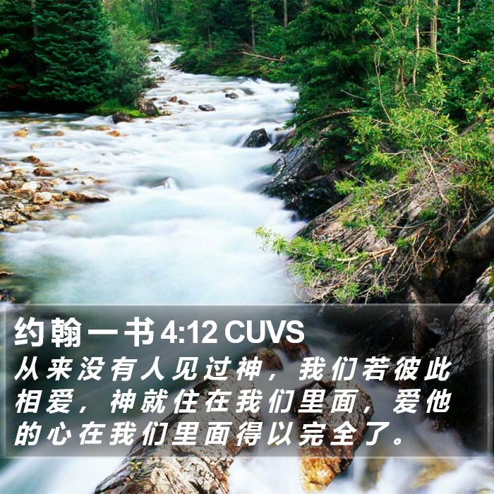 约 翰 一 书 4:12 CUVS Bible Study