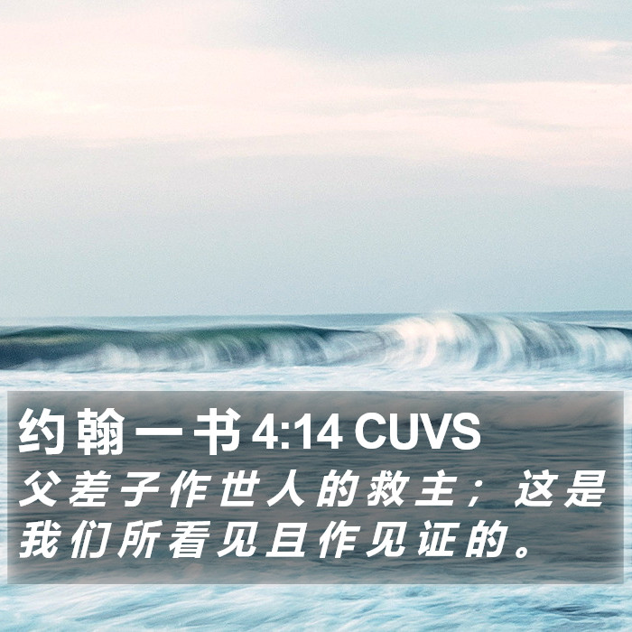 约 翰 一 书 4:14 CUVS Bible Study