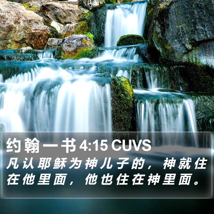 约 翰 一 书 4:15 CUVS Bible Study