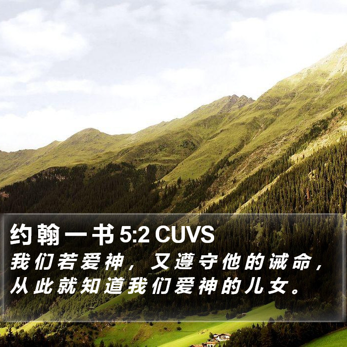 约 翰 一 书 5:2 CUVS Bible Study