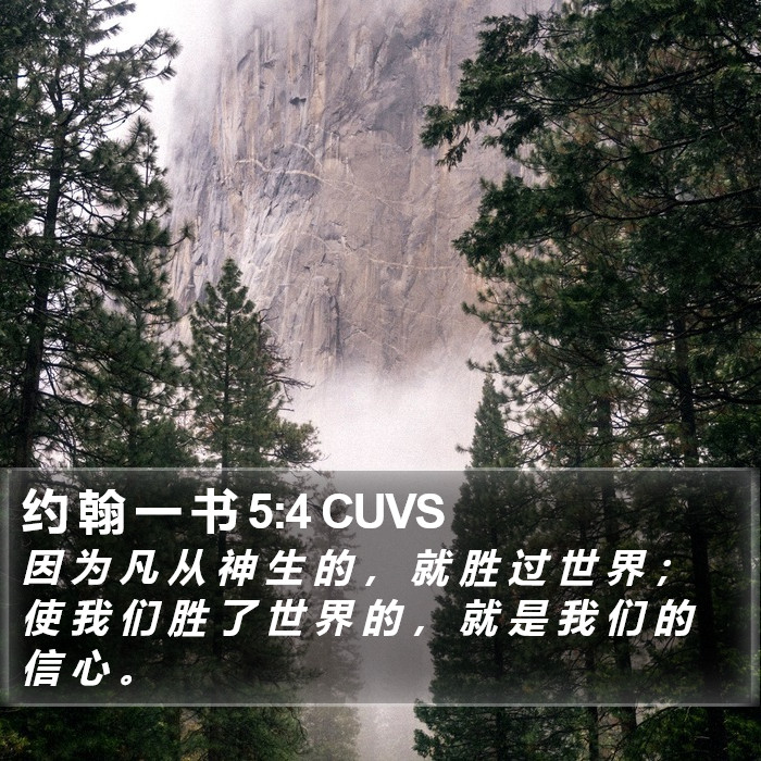 约 翰 一 书 5:4 CUVS Bible Study