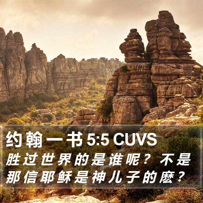 约 翰 一 书 5:5 CUVS Bible Study