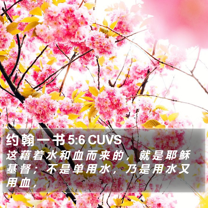 约 翰 一 书 5:6 CUVS Bible Study