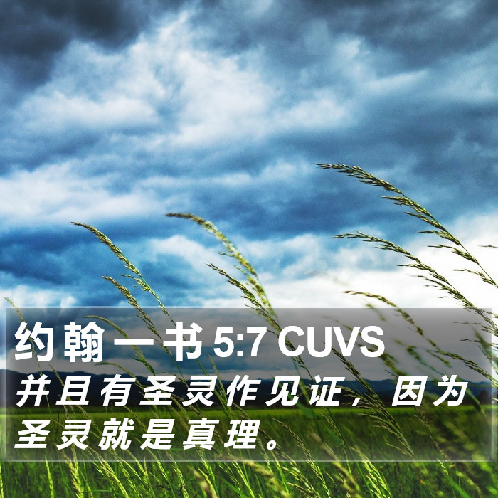 约 翰 一 书 5:7 CUVS Bible Study