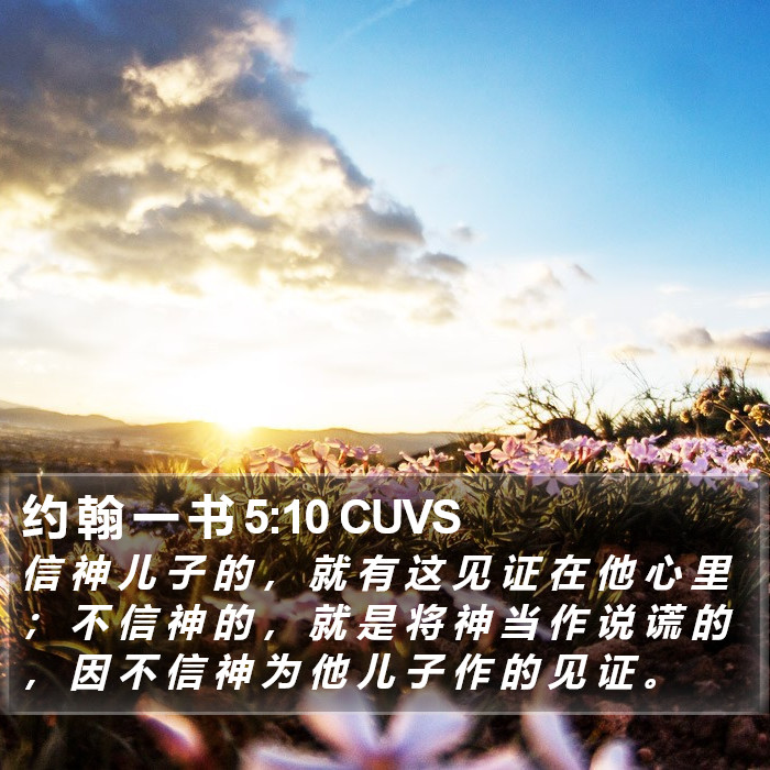 约 翰 一 书 5:10 CUVS Bible Study