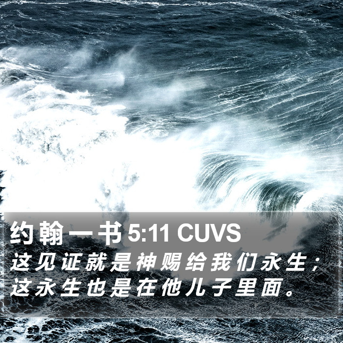 约 翰 一 书 5:11 CUVS Bible Study