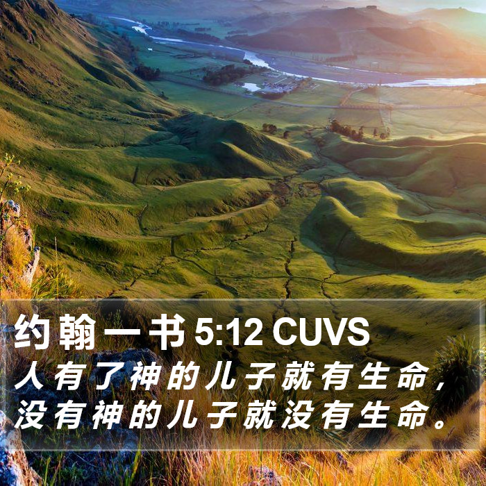 约 翰 一 书 5:12 CUVS Bible Study