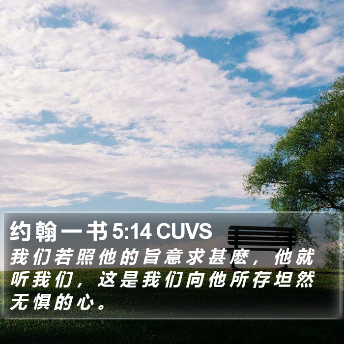 约 翰 一 书 5:14 CUVS Bible Study