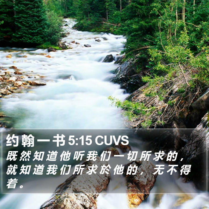 约 翰 一 书 5:15 CUVS Bible Study