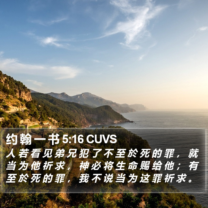 约 翰 一 书 5:16 CUVS Bible Study