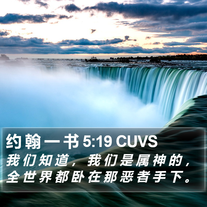 约 翰 一 书 5:19 CUVS Bible Study