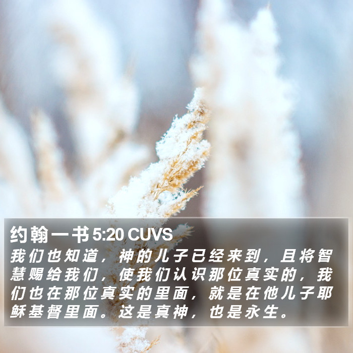 约 翰 一 书 5:20 CUVS Bible Study