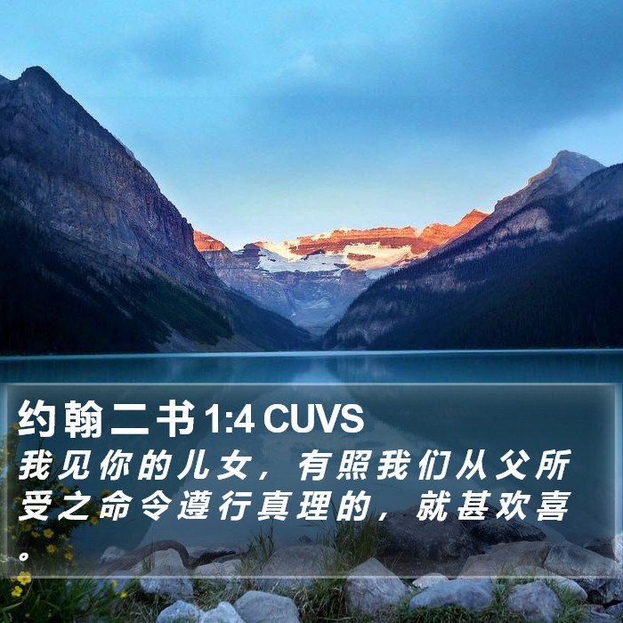 约 翰 二 书 1:4 CUVS Bible Study