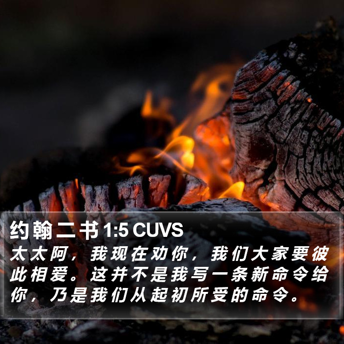 约 翰 二 书 1:5 CUVS Bible Study