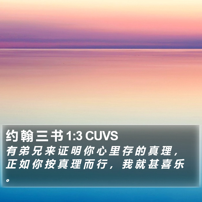 约 翰 三 书 1:3 CUVS Bible Study