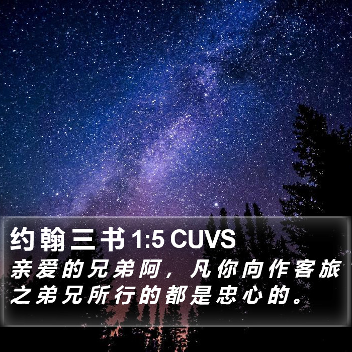 约 翰 三 书 1:5 CUVS Bible Study