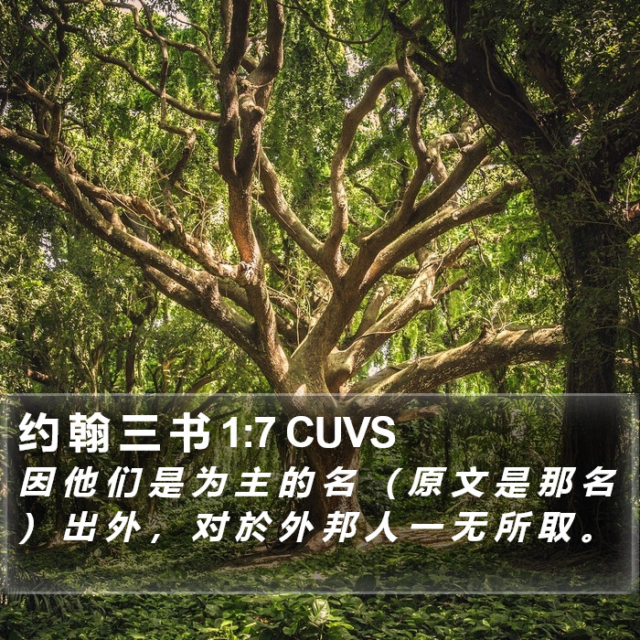 约 翰 三 书 1:7 CUVS Bible Study