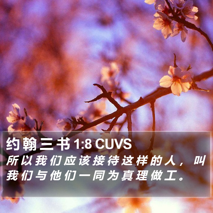 约 翰 三 书 1:8 CUVS Bible Study