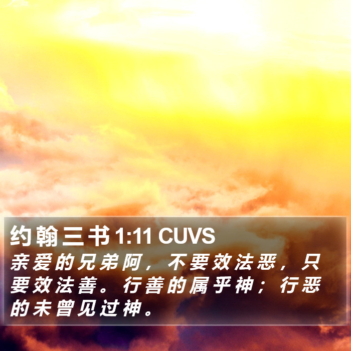 约 翰 三 书 1:11 CUVS Bible Study