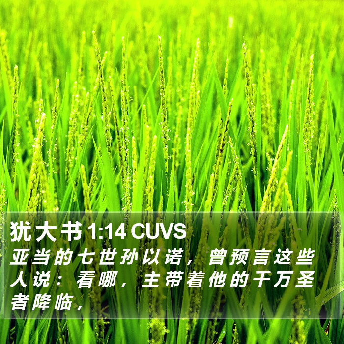 犹 大 书 1:14 CUVS Bible Study