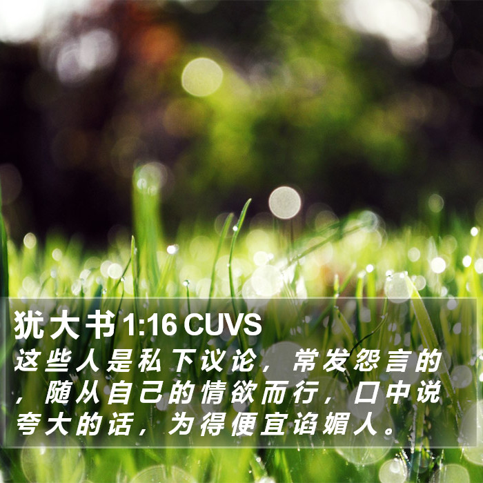 犹 大 书 1:16 CUVS Bible Study