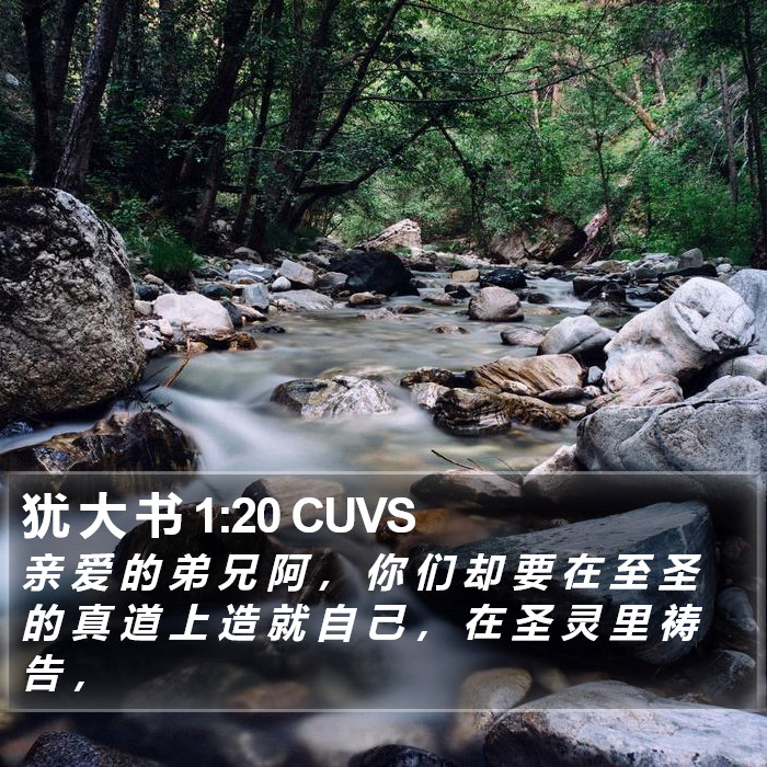 犹 大 书 1:20 CUVS Bible Study