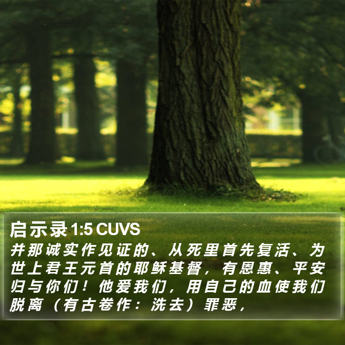 启 示 录 1:5 CUVS Bible Study