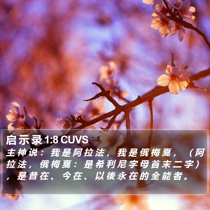 启 示 录 1:8 CUVS Bible Study