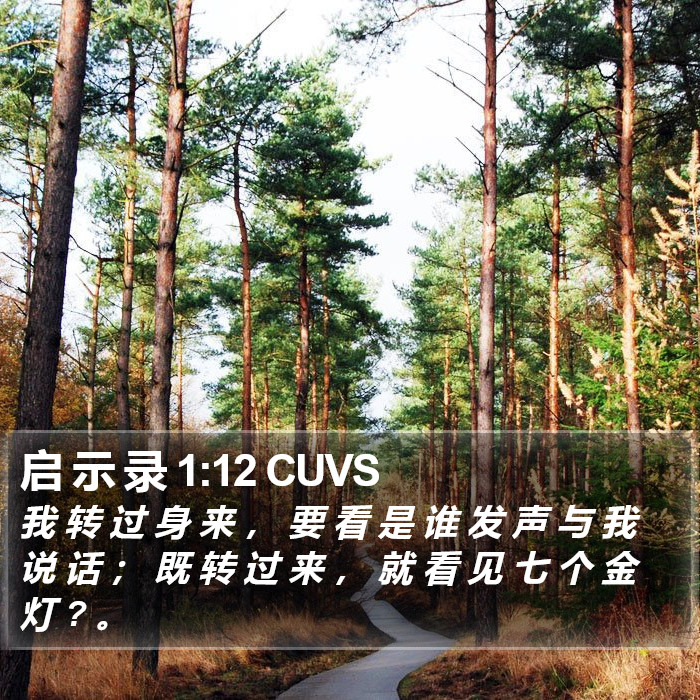 启 示 录 1:12 CUVS Bible Study